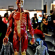Illustration for article titled Star Trek Holodeck During our Lives? A Recap of Siggraph 2013